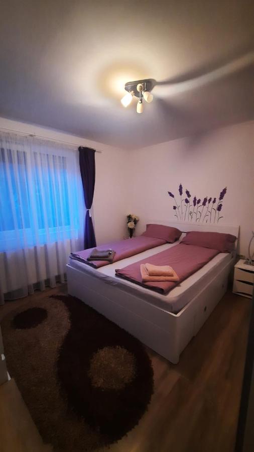 “Home Sweet Home” Sîntandrei Exterior foto